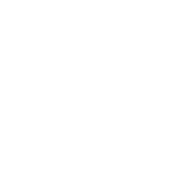 NEON BOX працює з продукцією компанії Zvizzer
