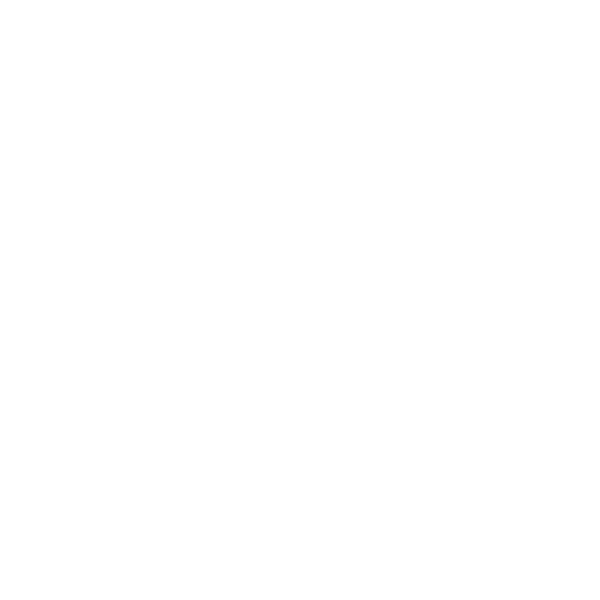 NEON BOX працює з продукцією компанії Auto Magic